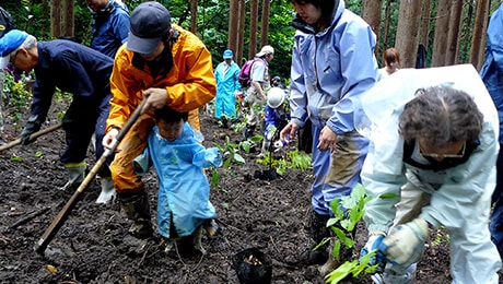 Tree planting under our Gohon no ki landscaping concept